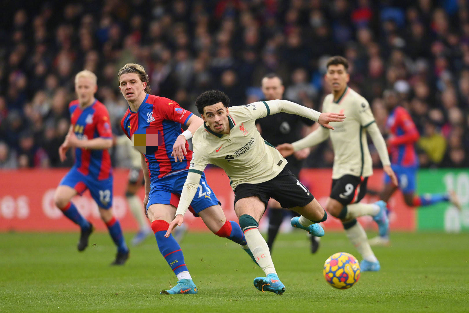 赛季的各项 赛季的各项